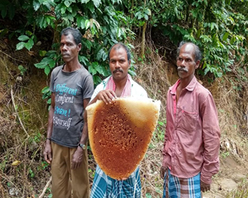 EnhancingTribalLivelihoods2